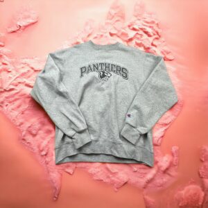 Hoodie Universitaire Panthers – Taille M